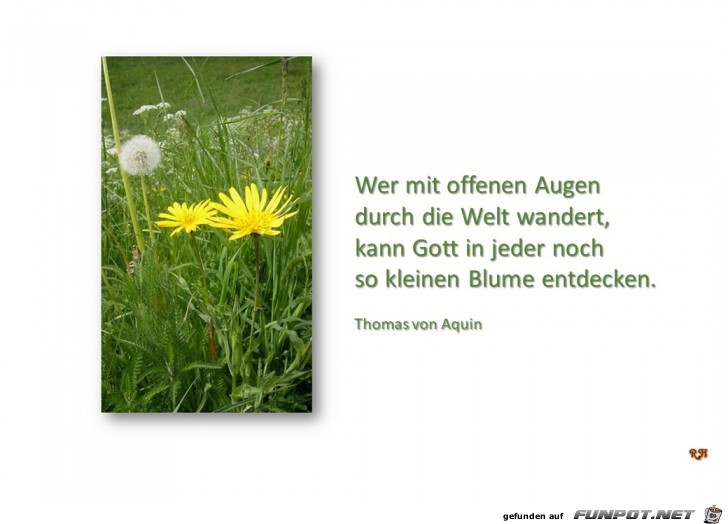 wer mit offenen Augen wer mit offenen Augen