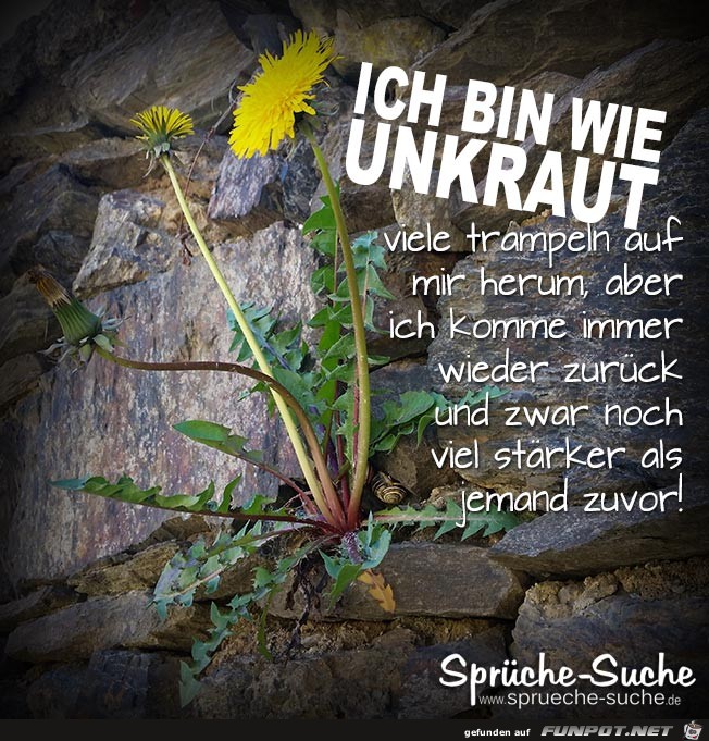 ich bin wie Unkraut..... ich bin wie Unkraut.....