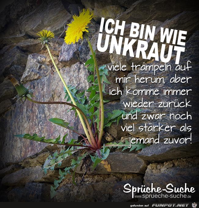 ich bin wie Unkraut.....