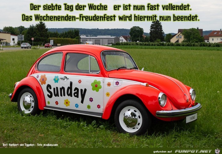 Sonntag Sonntag