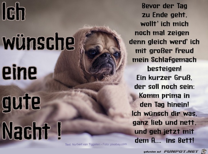 Mit dem Ar... ins Bett Mit dem Ar... ins Bett