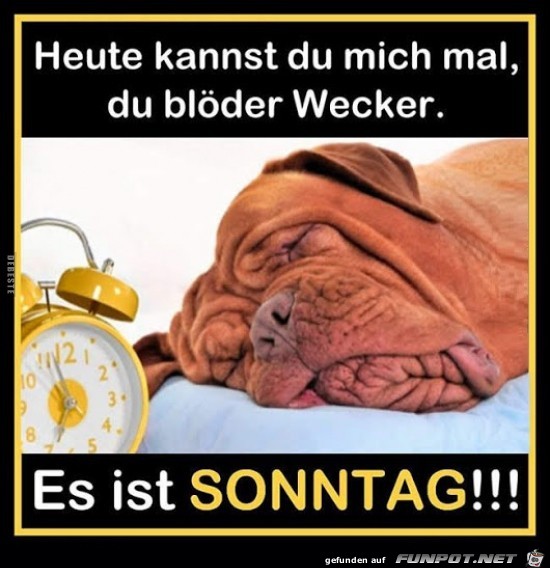 es ist Sonntag!!!.....