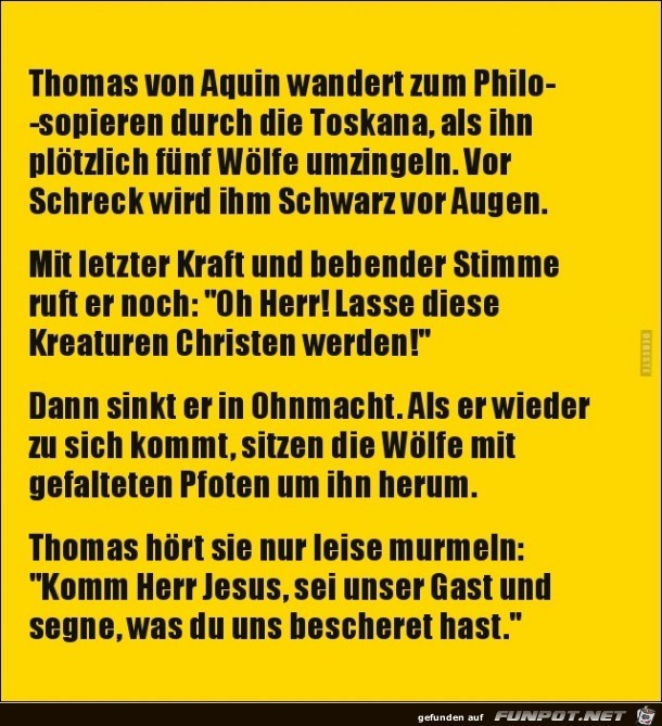 Thomas von Aquin.......