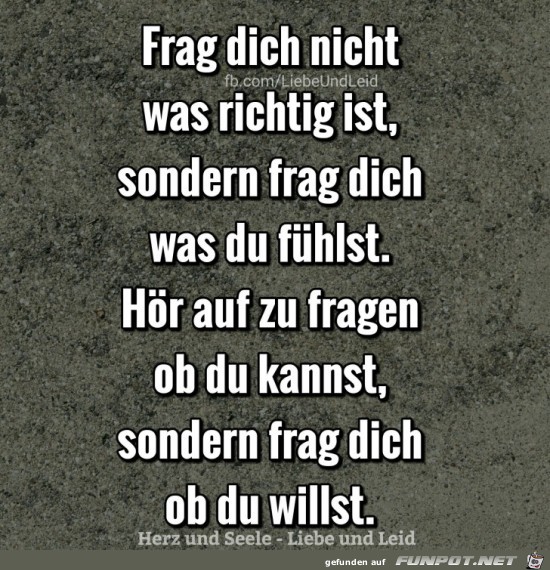 frag dich nicht was richtig ist,..... frag dich nicht was richtig ist,.....