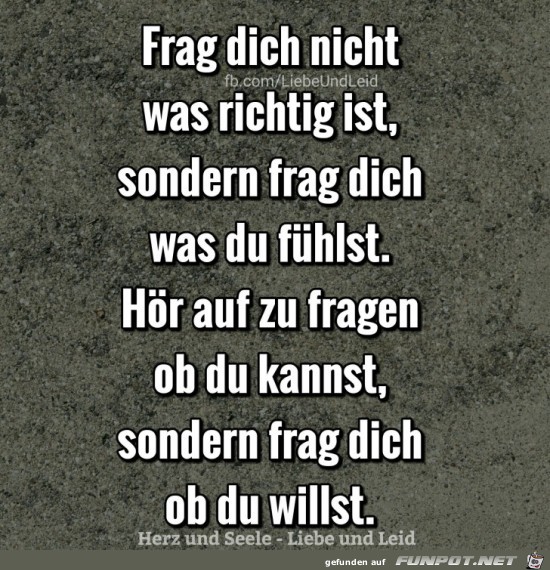 frag dich nicht was richtig ist,.....