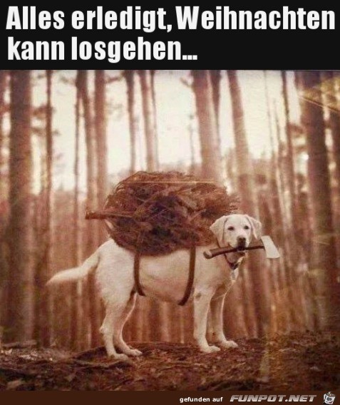 Alles fertig Alles fertig
