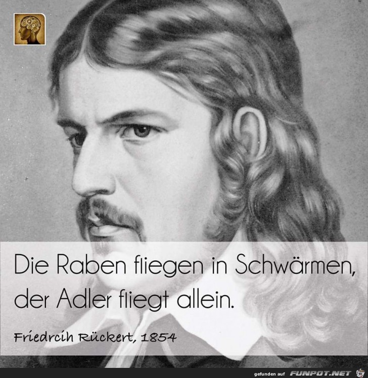 die raben fliegen