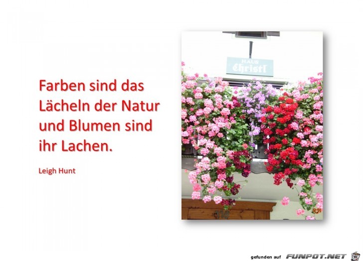 Farben sind das Laecheln der Natur Farben sind das Laecheln der Natur