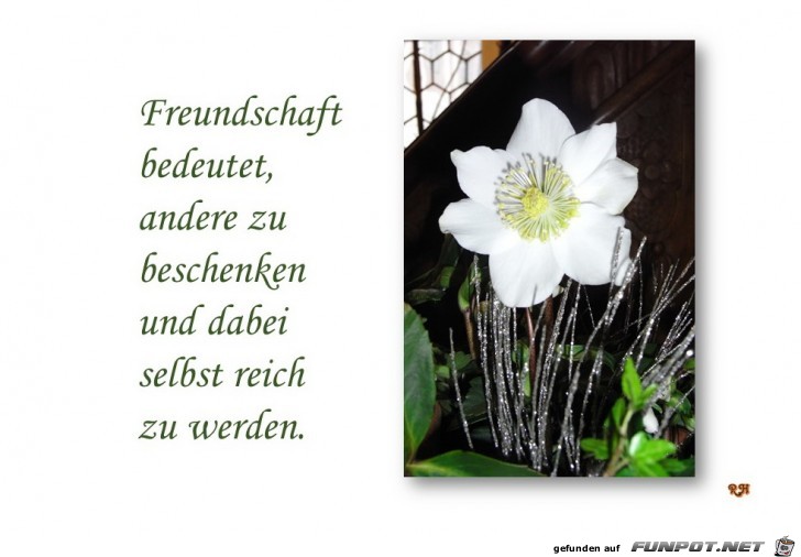 freundschaft bedeutet andere zu beschenken freundschaft bedeutet andere zu beschenken