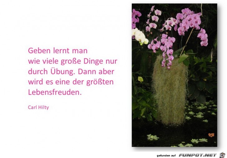 geben lernt man wie viele gro sse dinge geben lernt man wie viele gro sse dinge