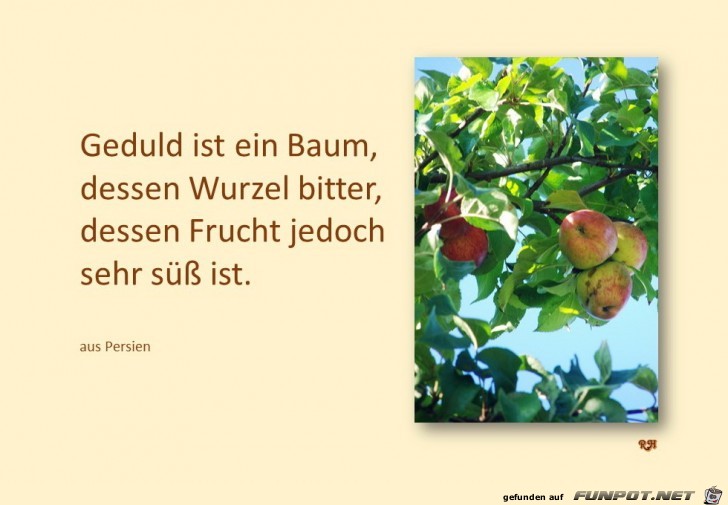 geduld ist ein baum