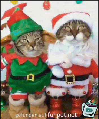 Weihnachts-Katzen