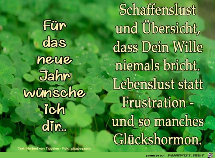 Zum Jahreswechsel5 Zum Jahreswechsel5
