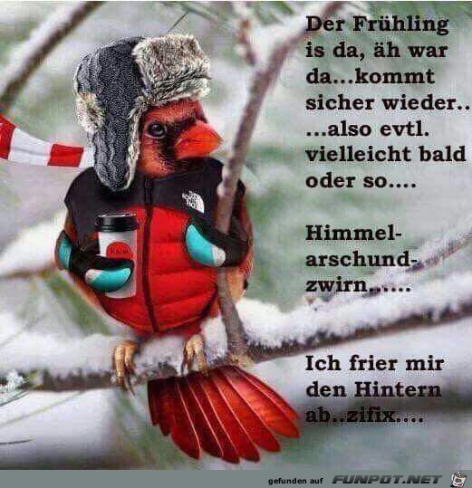 der Frhling ist da.......