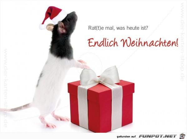 Endlich Weihnachten