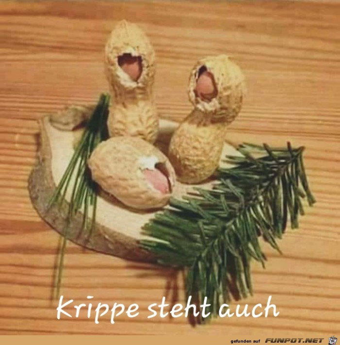 Krippe Krippe
