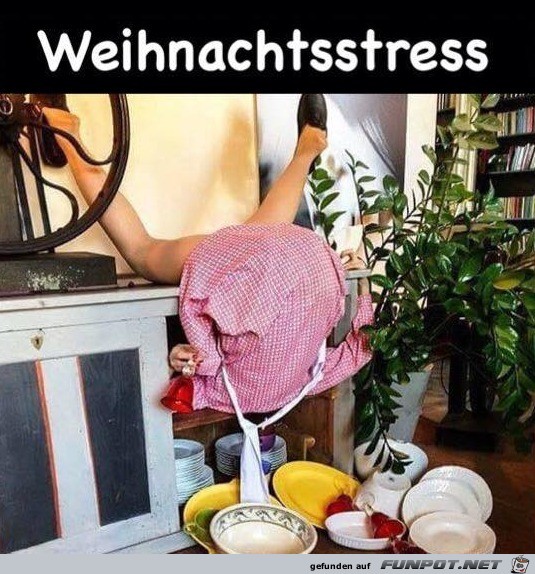 Stress Stress