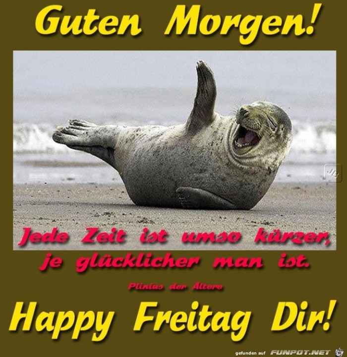Freitag Freitag