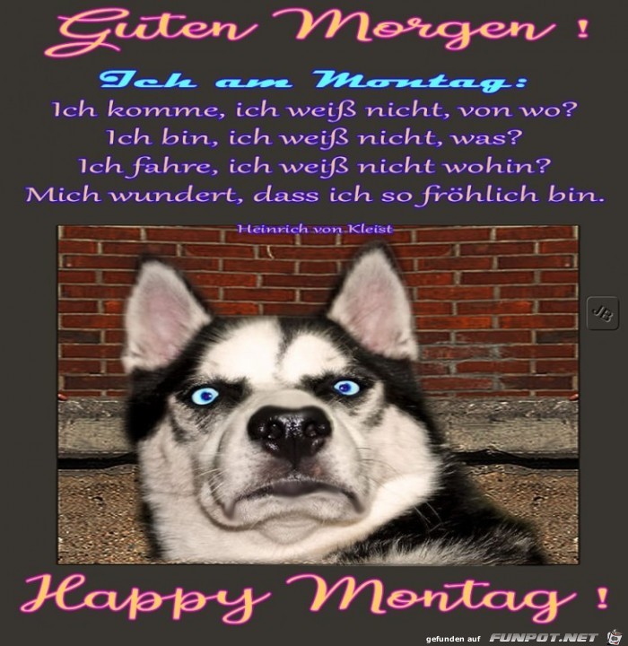 Montag Montag