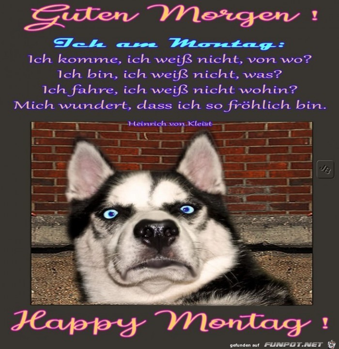 Montag