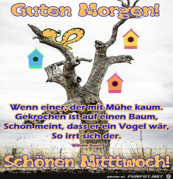 Mittwoch Mittwoch