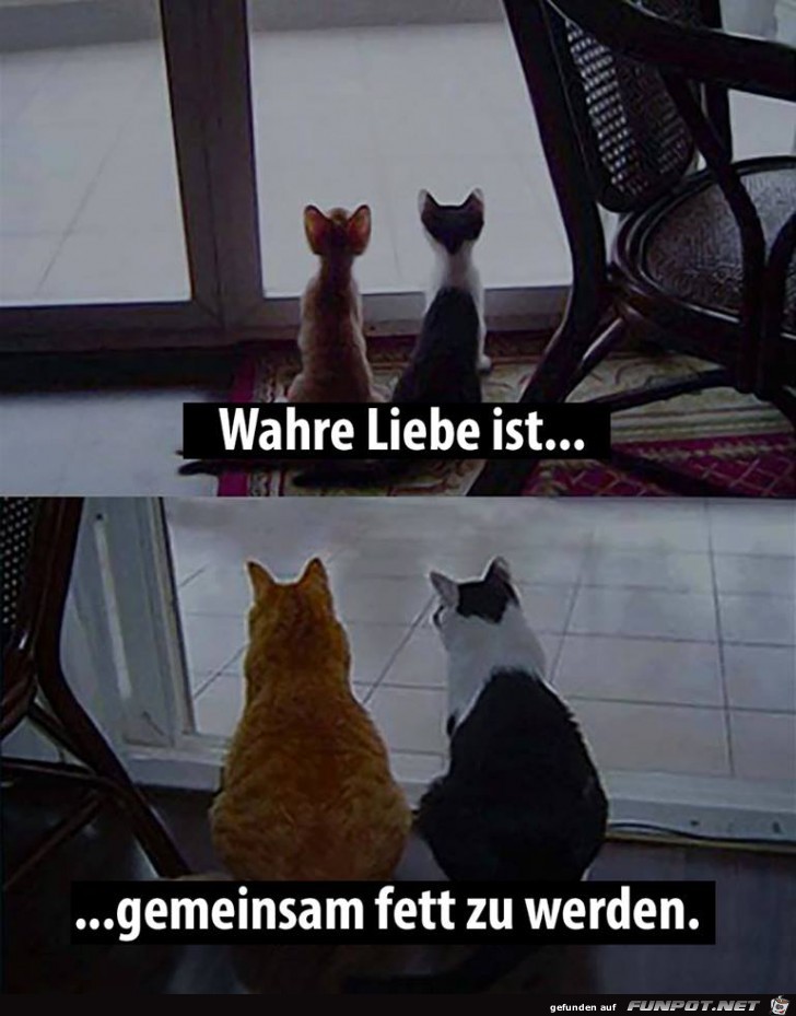 Wahre Liebe