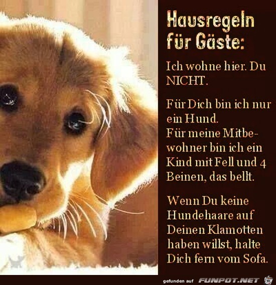 Hausregeln für Gäste!.. Hausregeln für Gäste!..