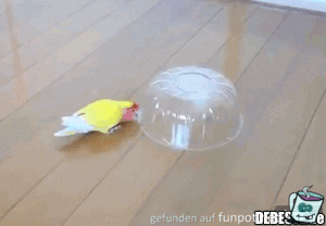 Gefangen Gefangen