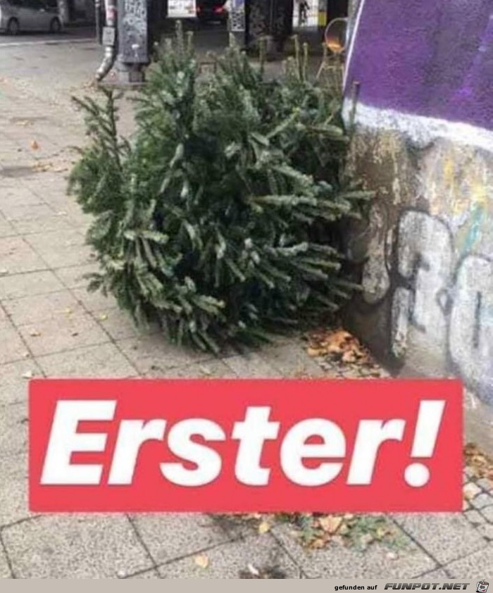 Erster Erster