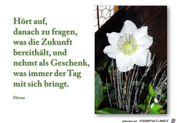 hoert auf danach zu fragen hoert auf danach zu fragen