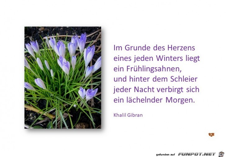 im grunde des herzens im grunde des herzens