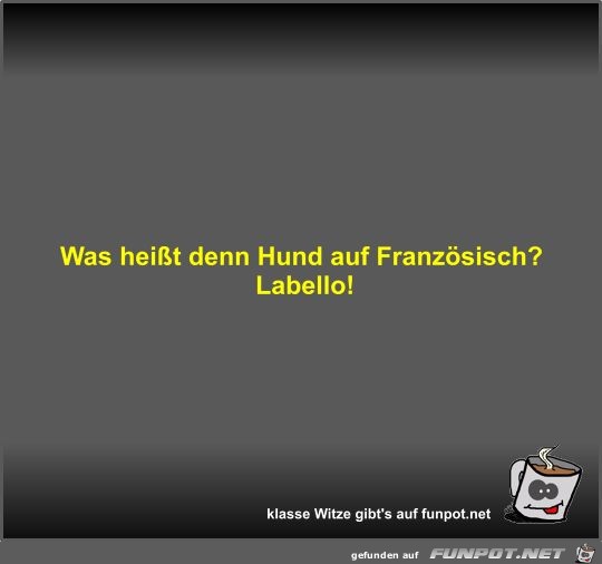 Was heit denn Hund auf Franzsisch?