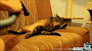 Erst mal absaugen Erst mal absaugen