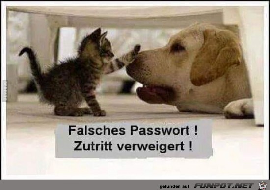 falsches Passwort,.....