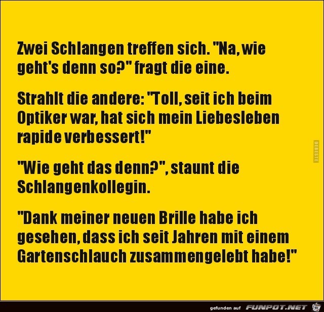 zwei Schlangen treffen sich,....