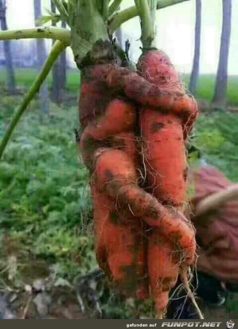 Verrückte Natur Verrückte Natur