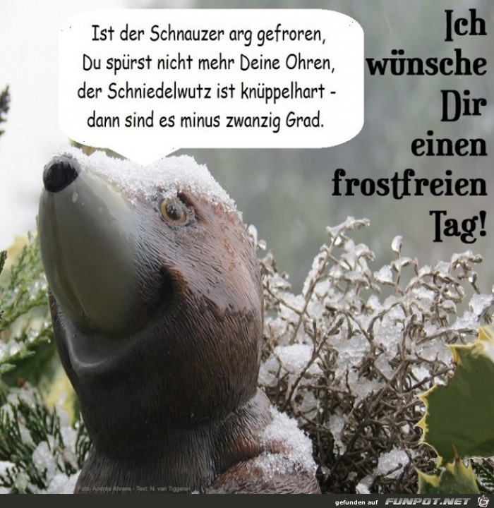 Einen frostfreien Tag!