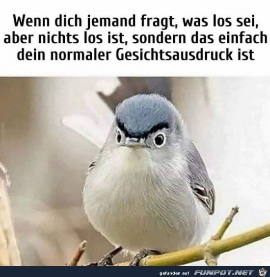 Mein Gesicht