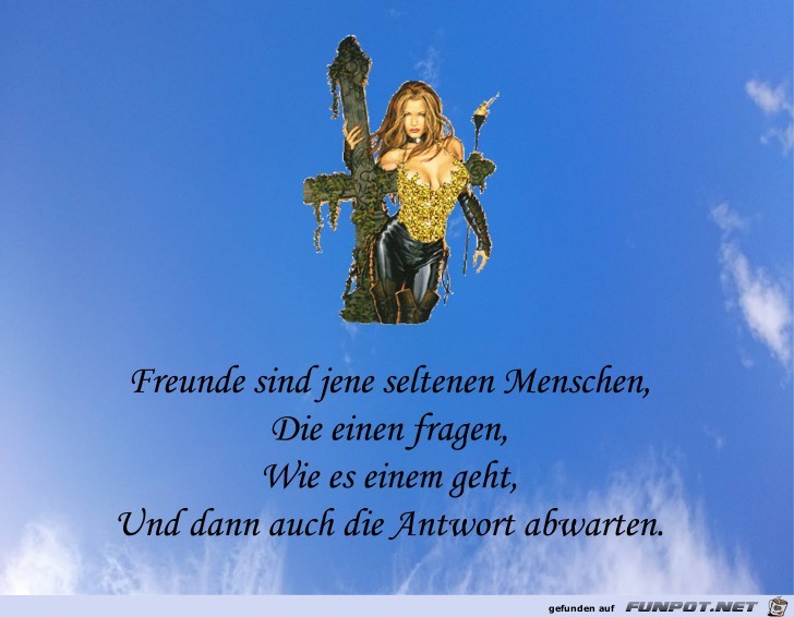 Freunde Freunde