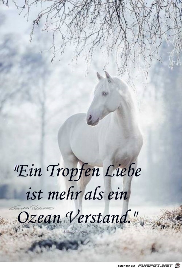 Liebe Liebe