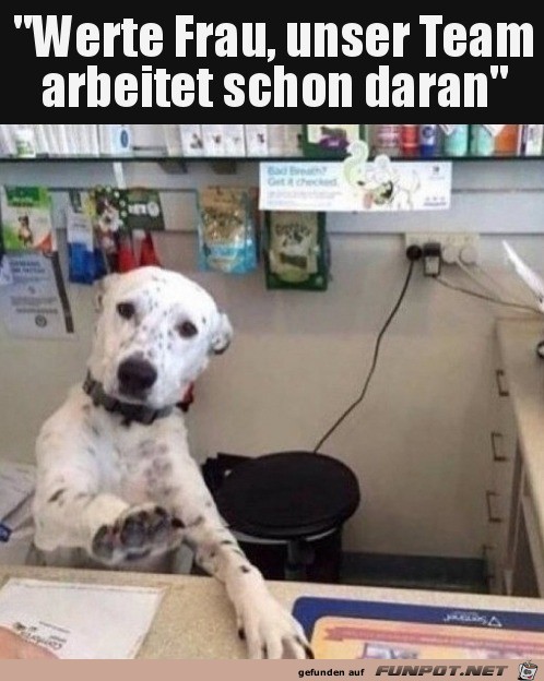 Immer langsam