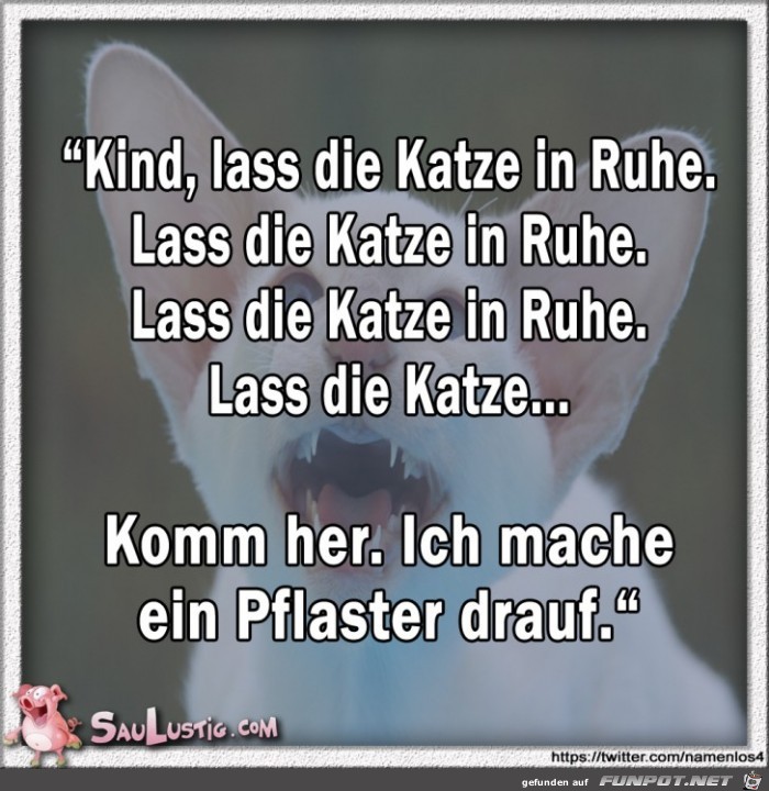 Lass-die-Katze-in-Ruhe Lass-die-Katze-in-Ruhe