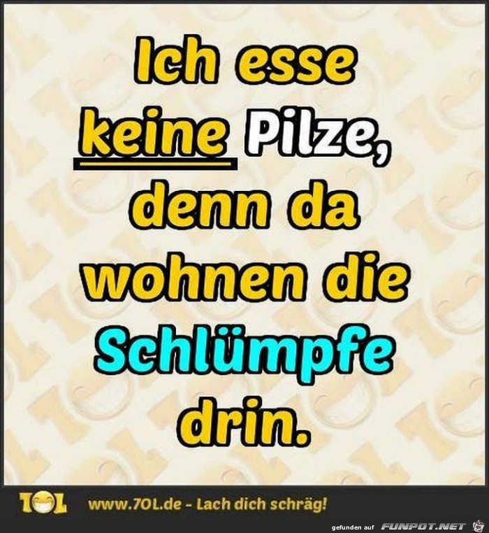 Pilze Pilze