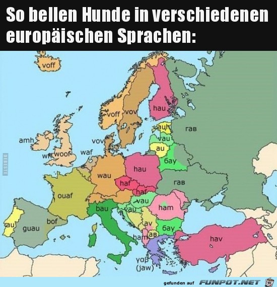 Hunde bellen Hunde bellen