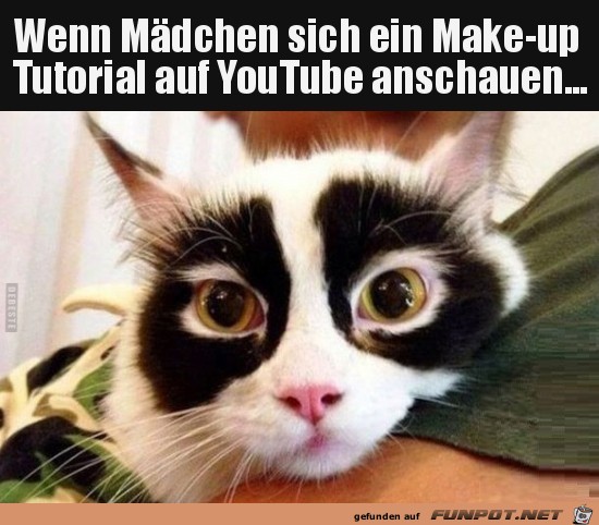 Kommt hin Kommt hin