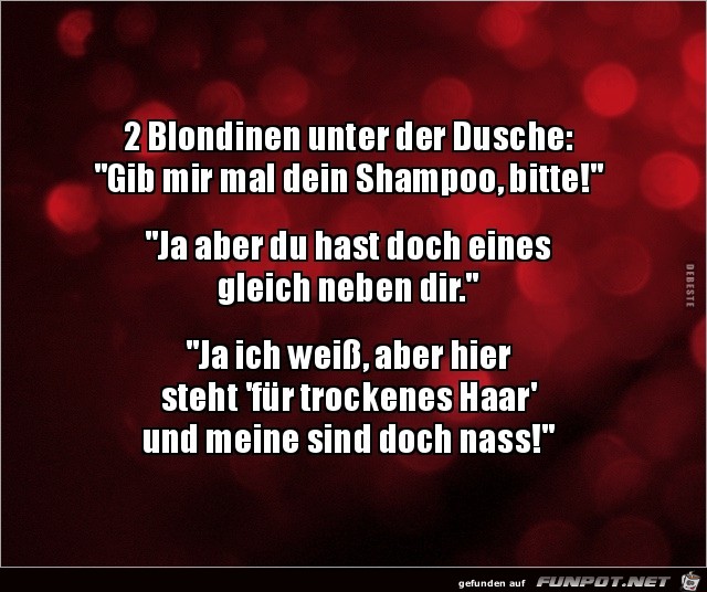 2 blondinen 2 blondinen