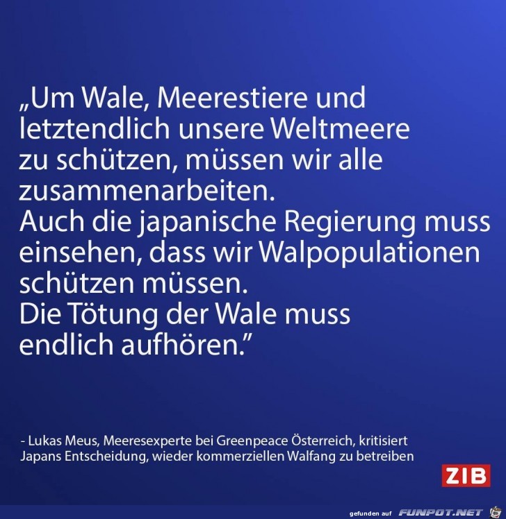 um Wale meerestiere... um Wale meerestiere...