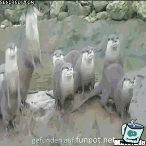 Huhu Huhu