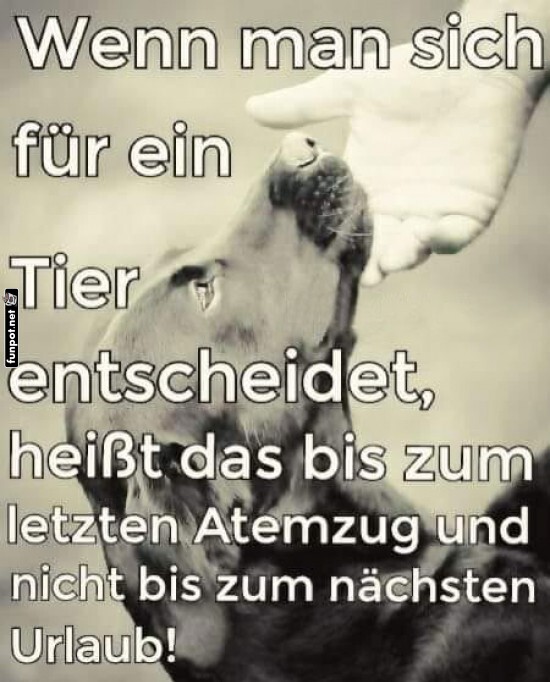 so ist es so ist es