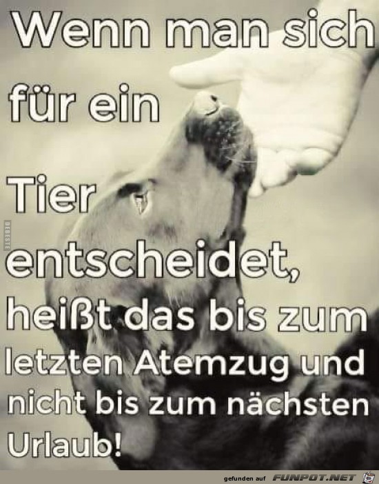 so ist es so ist es
